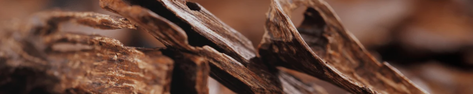 Oud - Afnan Perfumes - Pakistan