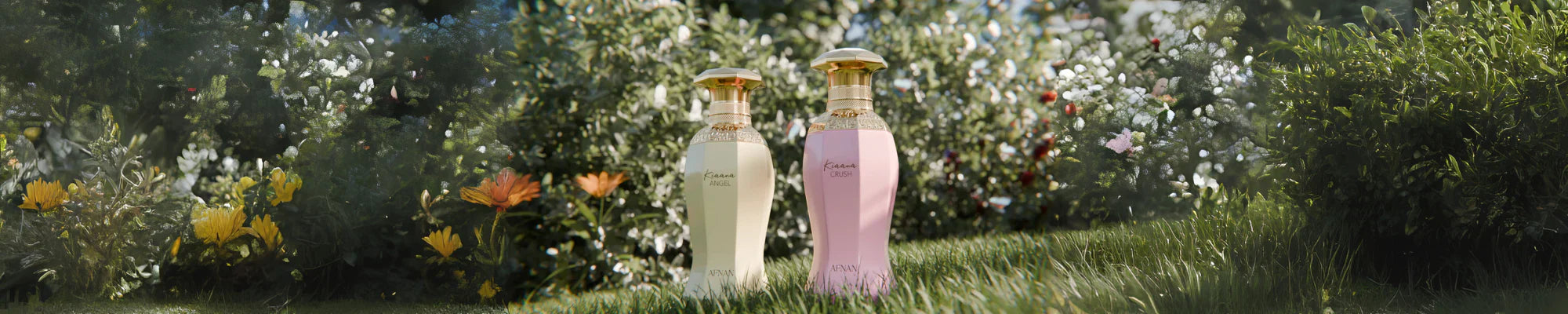 EAU DE PARFUM - Afnan Perfumes - Pakistan