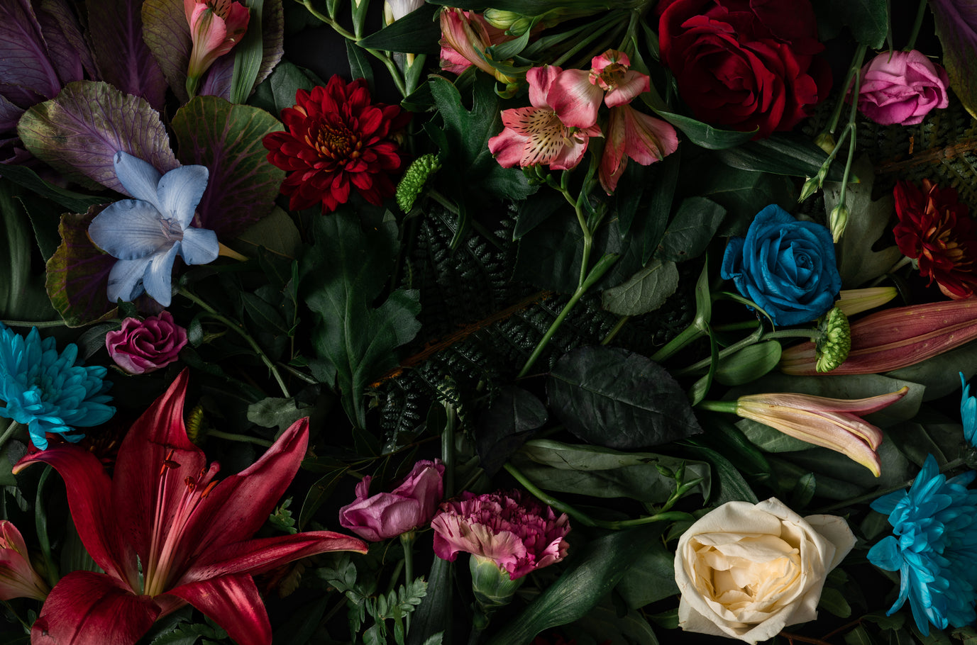 The Renaissance of Floral - Afnan Perfumes Pakistan